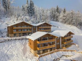 Chalet in Wagrain with infrared sauna